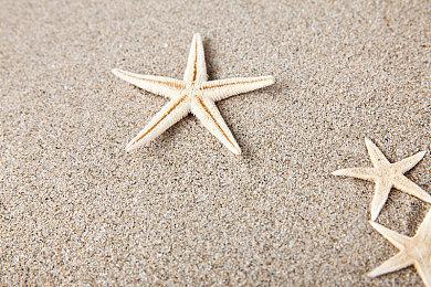 超休闲电子宠物RPG《勇者蛋生》预告  4月30日Steam发售